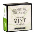 Archipelago Botanicals Morning Mint Exfoliating Aloe Soap, Carton, 1.5oz/42g